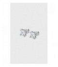Pendientes Lotus acero caballero circonita. - LS2166-4/1