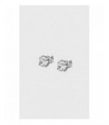 Pendientes Lotus caballero de acero y circonita. - LS2167-4/1