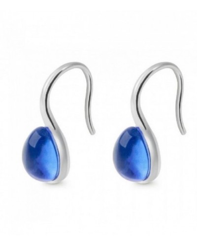 Pendientes de plata con cristal azul cierre gancho. - ARRJ005GGA