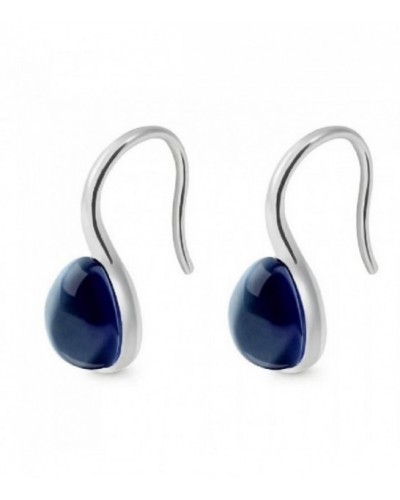 Pendientes de plata con cristal azul indigo cierre gancho. - ARRJ005GGI