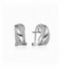 Pendientes de plata con circonitas. - 2024907